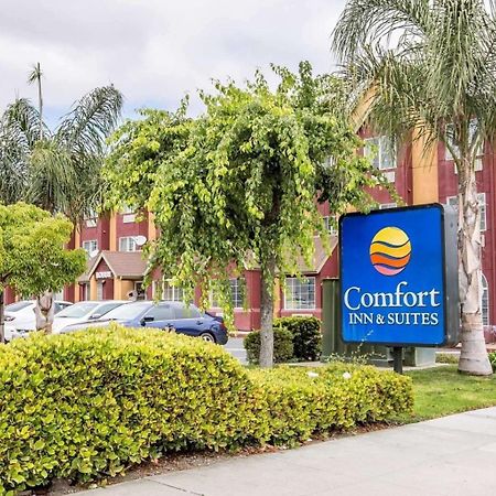 Comfort Inn & Suites Салинас Экстерьер фото