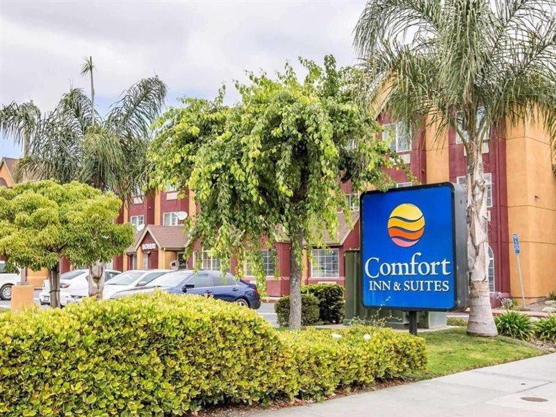 Comfort Inn & Suites Салинас Экстерьер фото