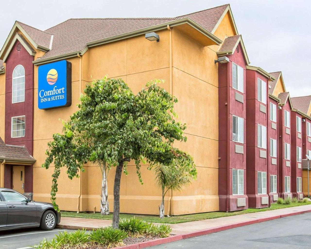 Comfort Inn & Suites Салинас Экстерьер фото